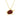 Jarrah Turtle Necklace - Yellow Gold - Tyalla - Woodsman Jewelry